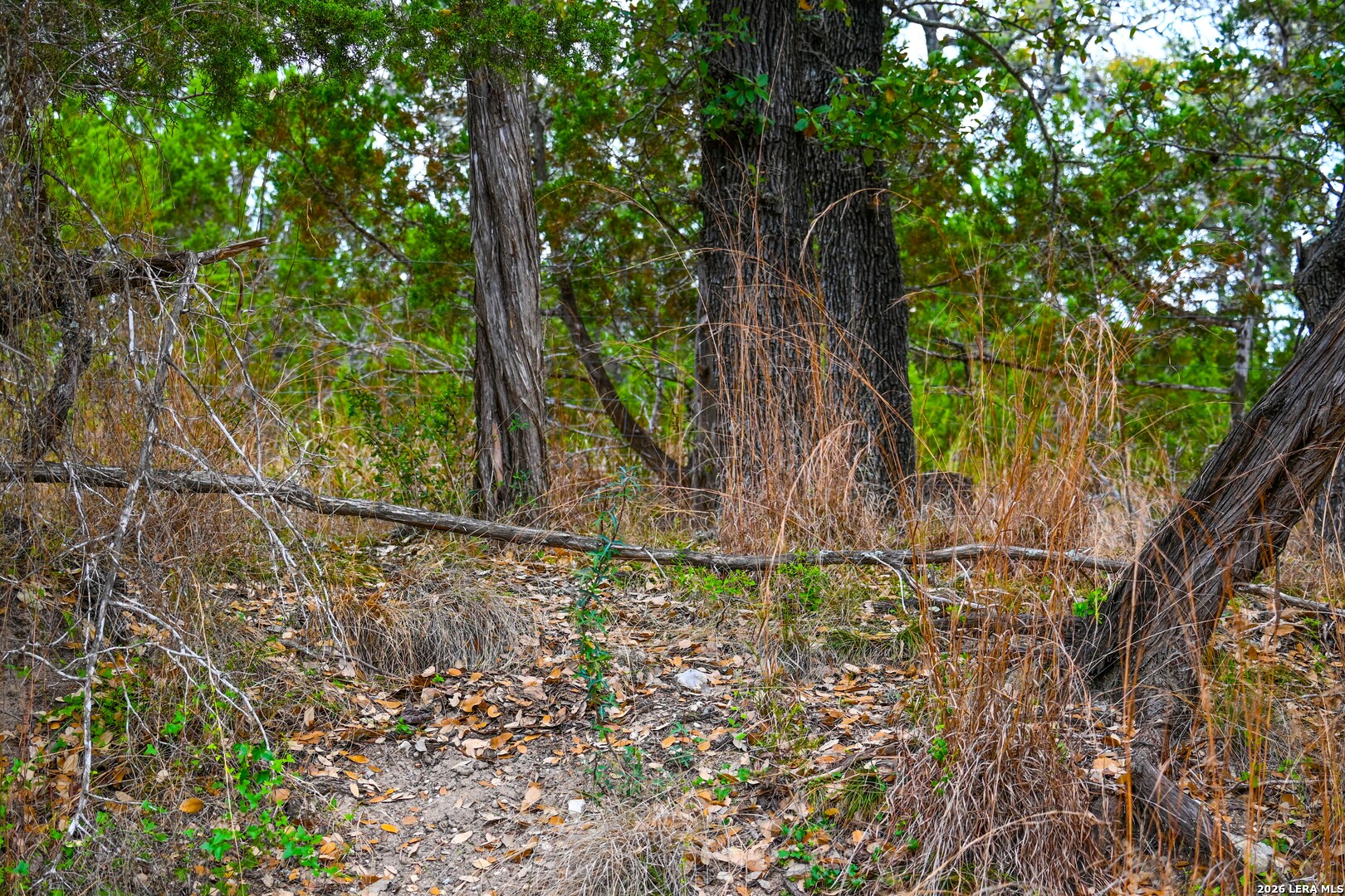 348 Rocky Road Pipe Creek TX 78063