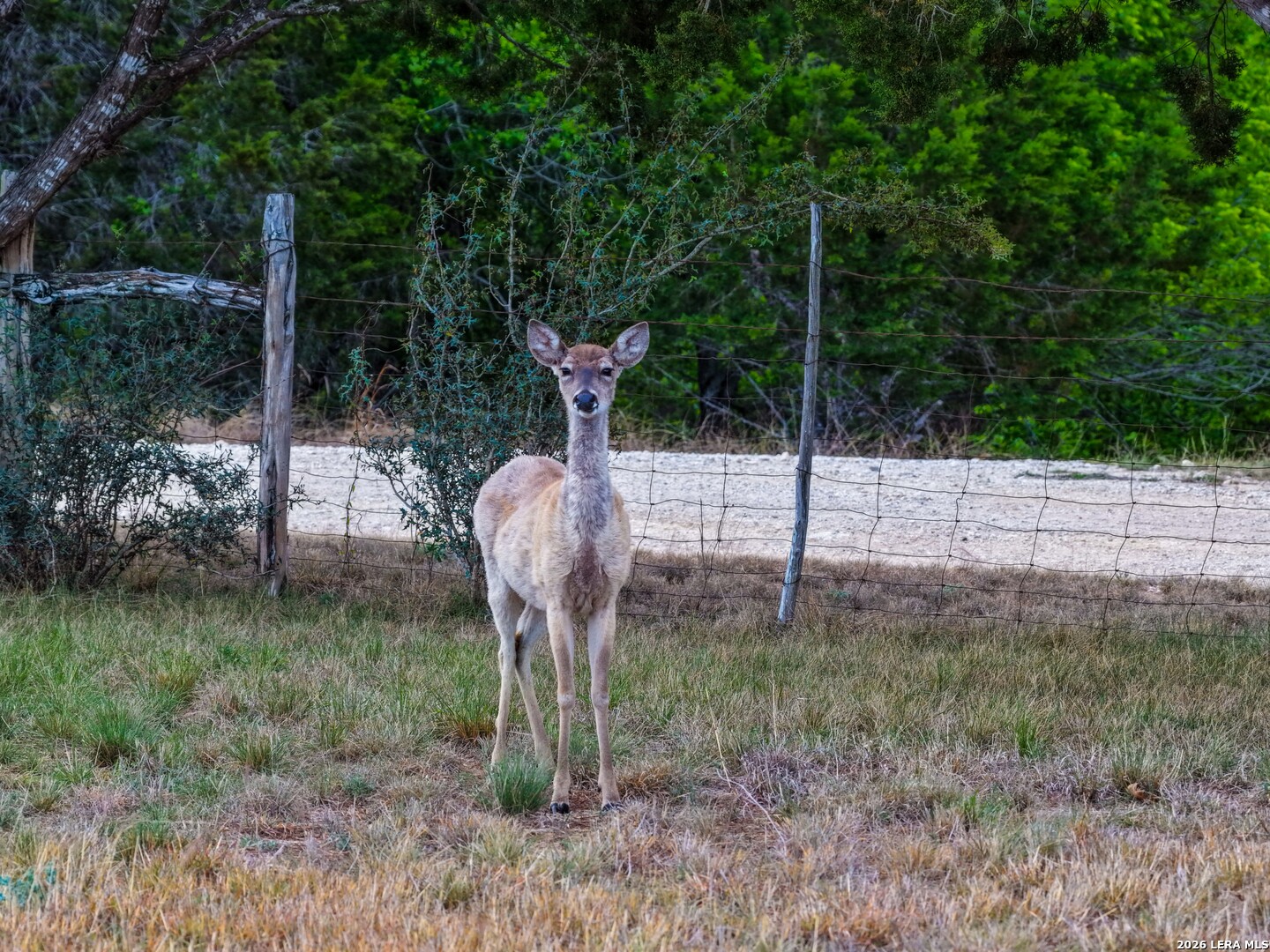 348 Rocky Road Pipe Creek TX 78063