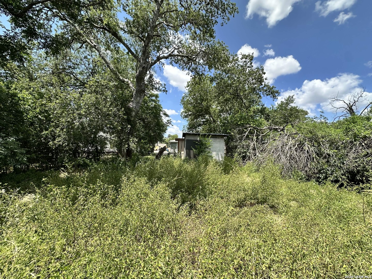 611 Dorie San Antonio TX 78220