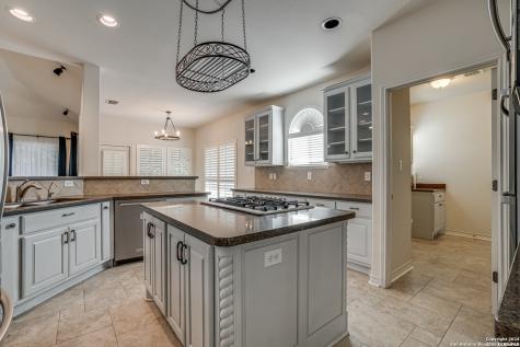 15006 Pastura Pass Helotes TX 78023