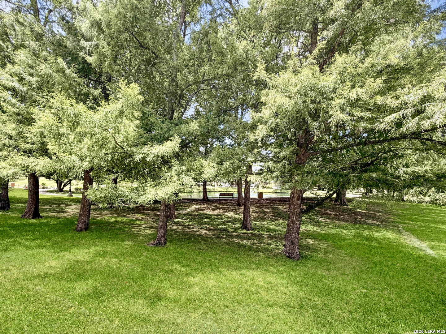 9113 Bonny Brook Windcrest TX 78239