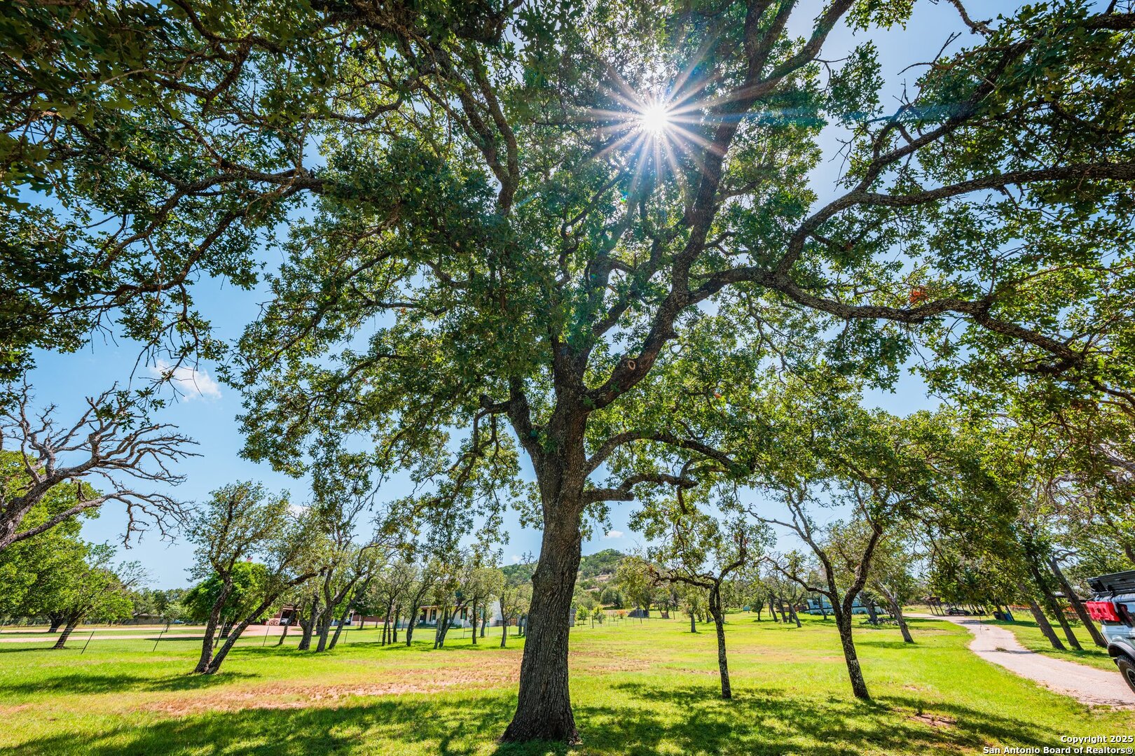 362 Oak Haven Fredericksburg TX 78624