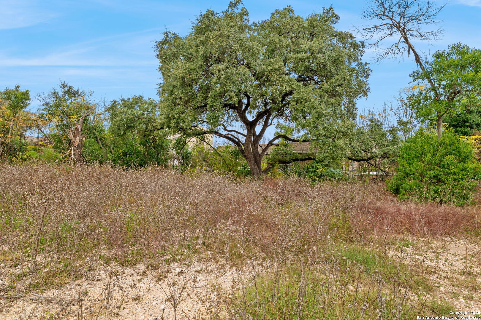 8226 Country Lane Court San Antonio TX 78209