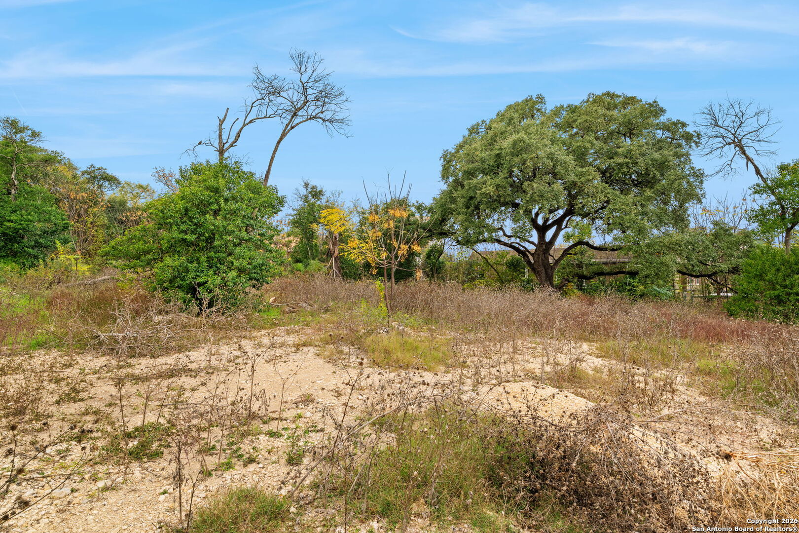 8226 Country Lane Court San Antonio TX 78209