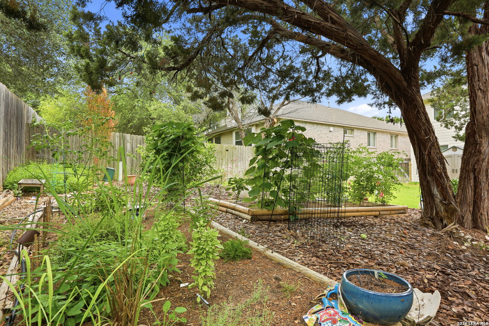 11038 Wilson Oaks San Antonio TX 78249
