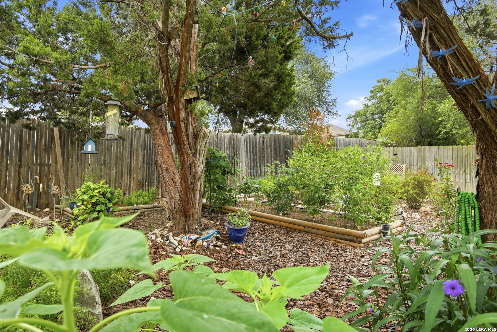 11038 Wilson Oaks San Antonio TX 78249