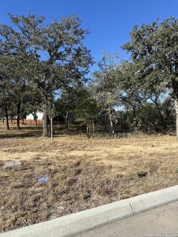 128 Chinaberry Hill La Vernia TX 78121
