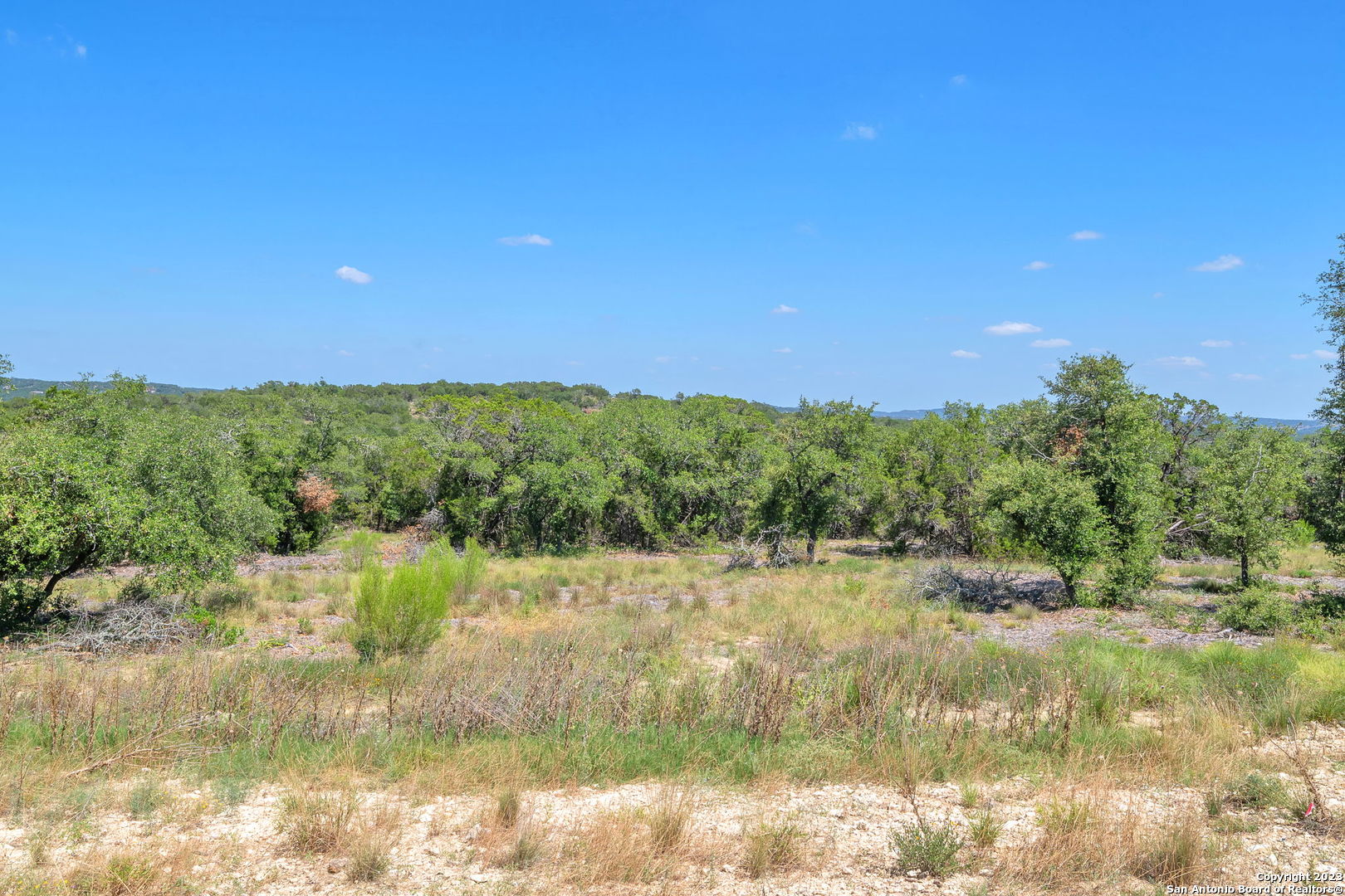 917 Earle Oak Avenue Bulverde TX 78163
