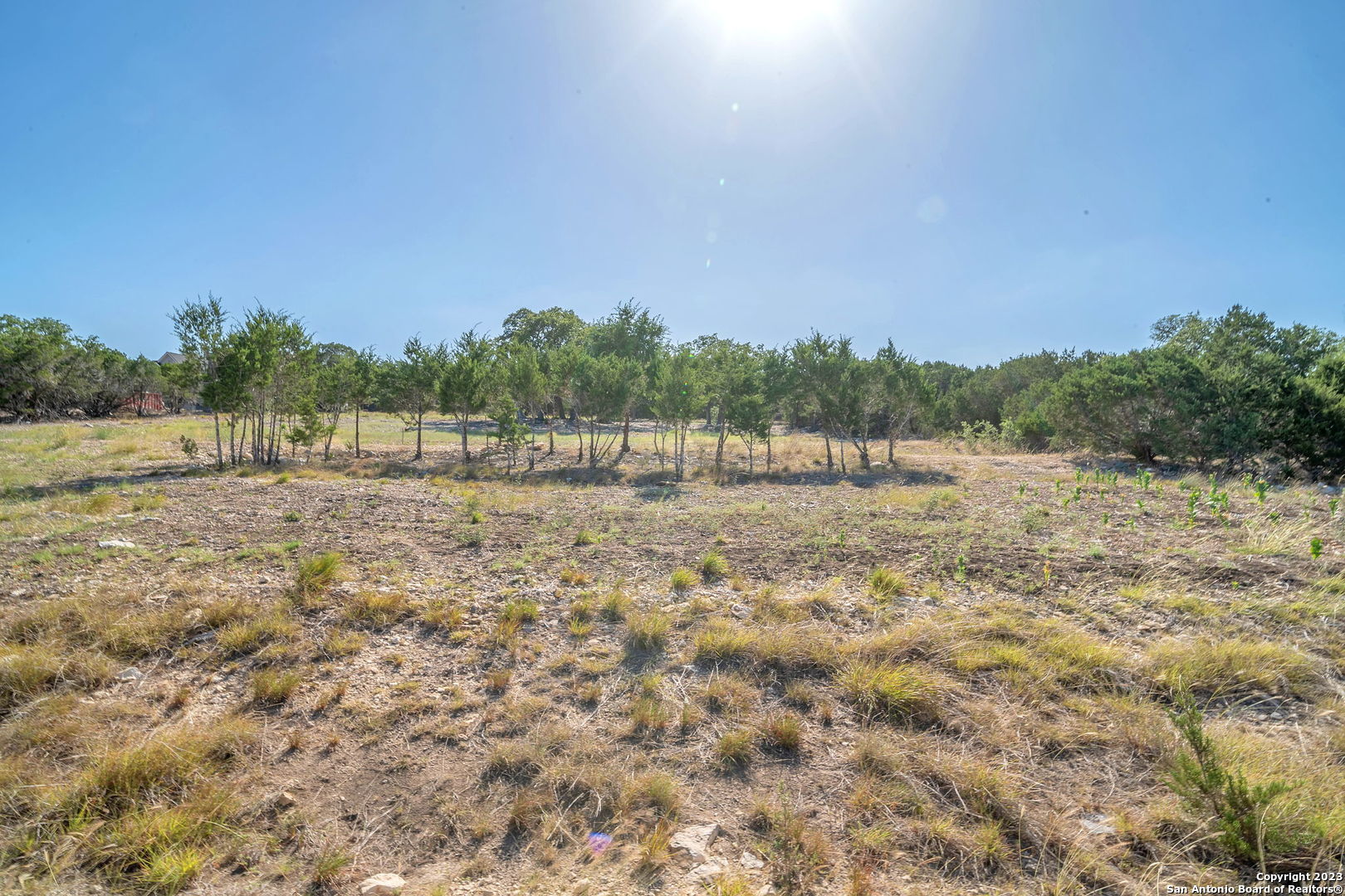 917 Earle Oak Avenue Bulverde TX 78163