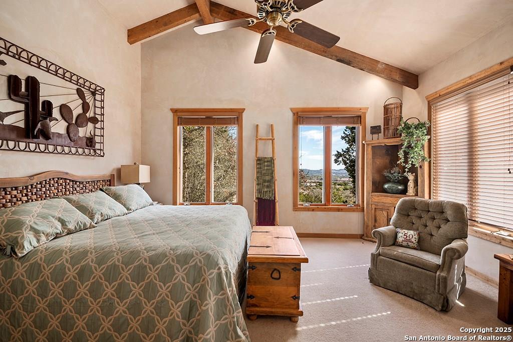 260 Chinaberry Lane Fredericksburg TX 78624