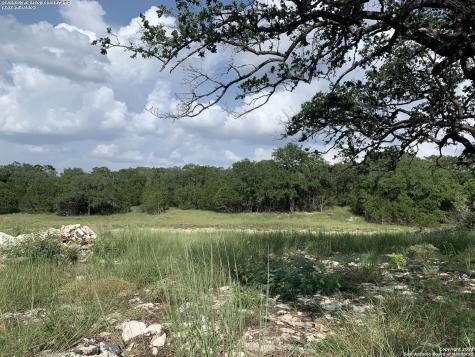 1256 Salt Lick Drive New Braunfels TX 78132