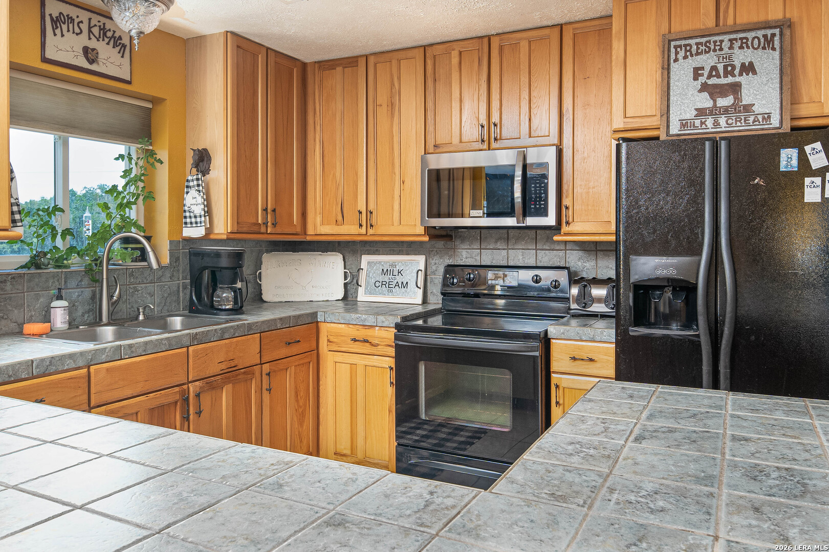 290 Japonica Road Hunt TX 78024