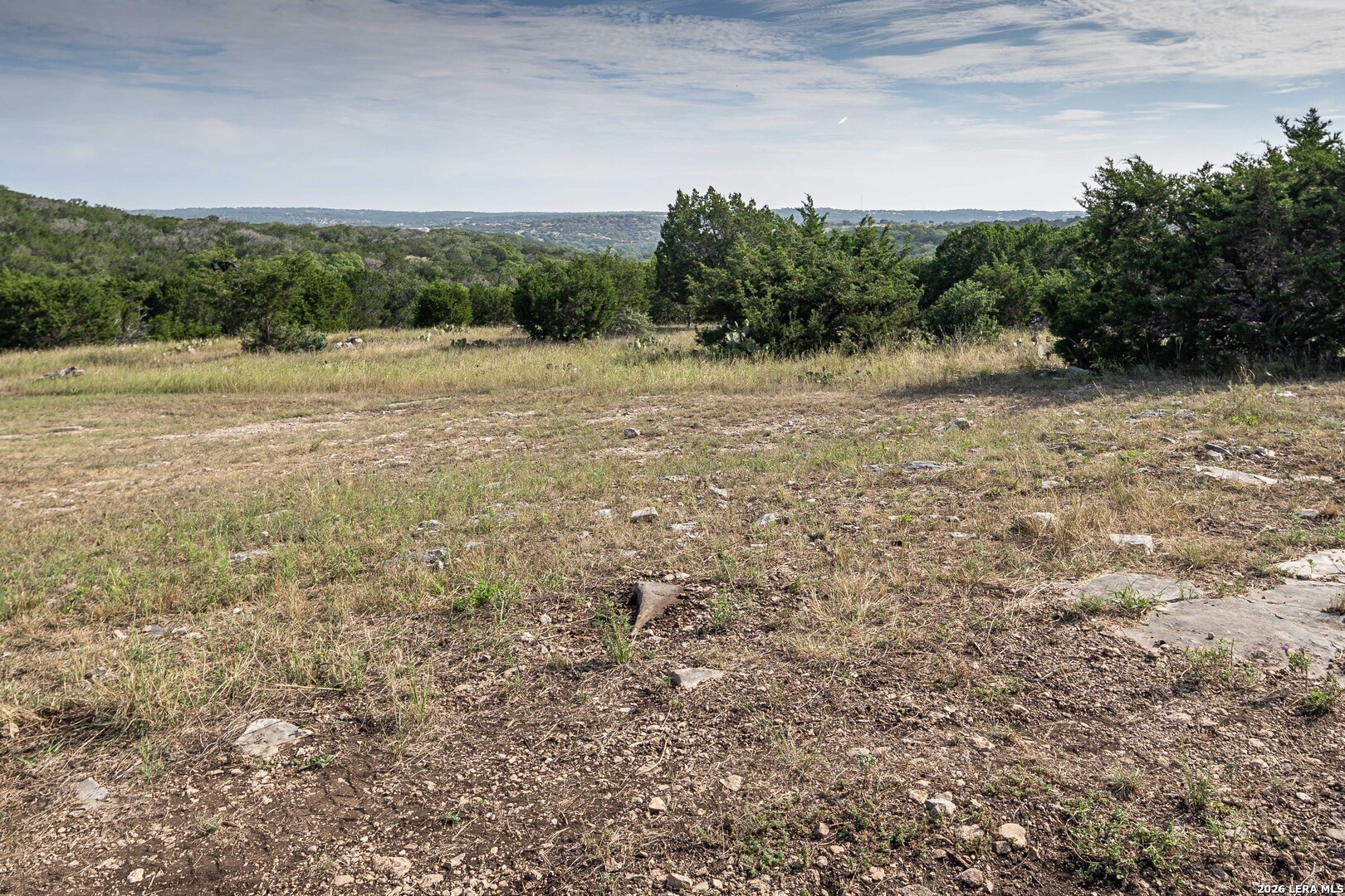290 Japonica Road Hunt TX 78024