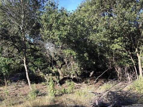 207 Oakridge Street Canyon Lake TX 78133
