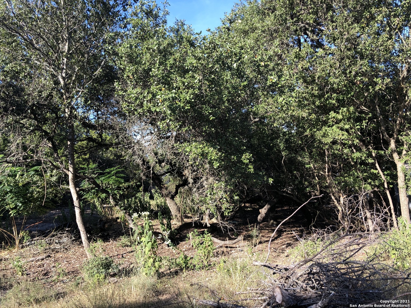 207 Oakridge Street Canyon Lake TX 78133