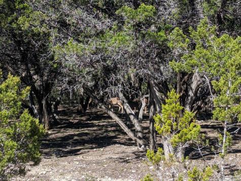 Lot 485 Mountain Trail Bandera TX 78003