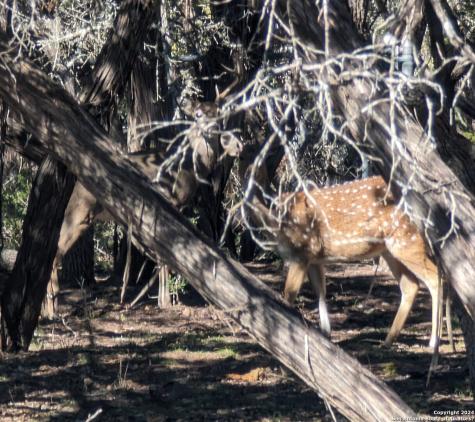 Lot 485 Mountain Trail Bandera TX 78003