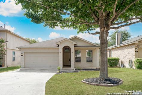 142 Coopers Hawk San Antonio TX 78253