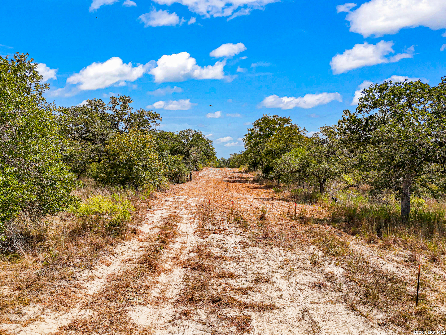 12170 Fm 1117 Seguin TX 78155