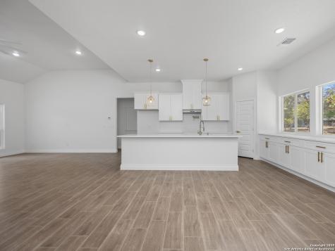 23031 Fawn Trail Drive Elmendorf TX 78112