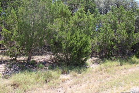 1105 Rotherman Canyon Lake TX 78133