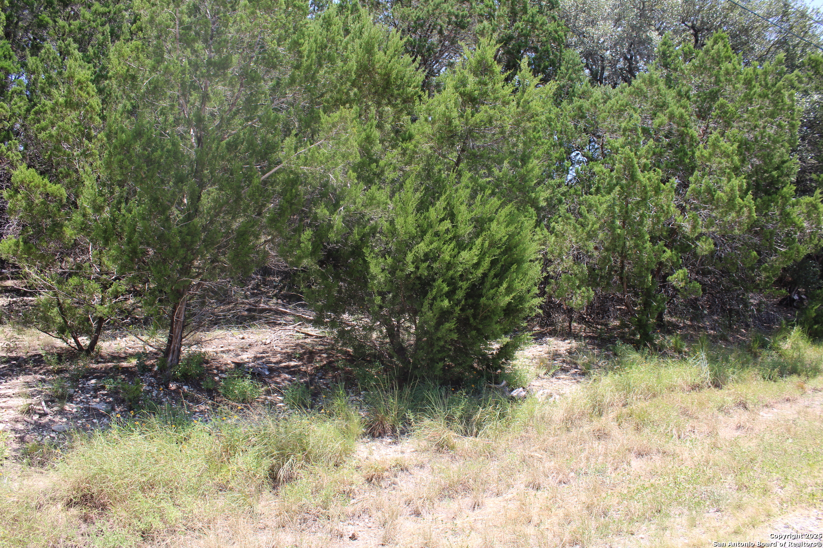 1105 Rotherman Canyon Lake TX 78133