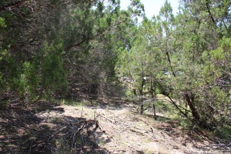 1105 Rotherman Canyon Lake TX 78133