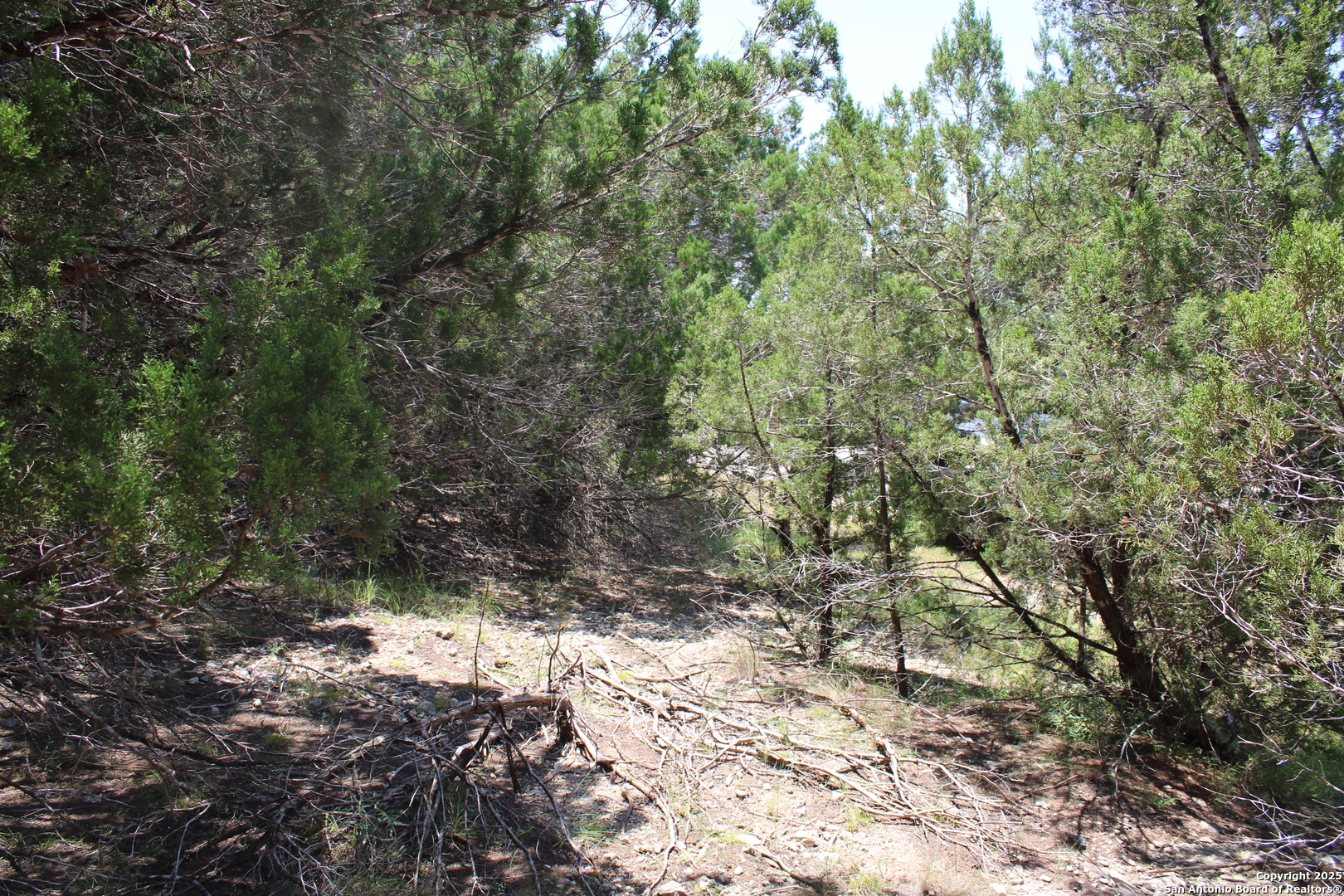 1105 Rotherman Canyon Lake TX 78133