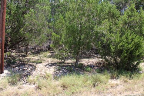 1105 Rotherman Canyon Lake TX 78133