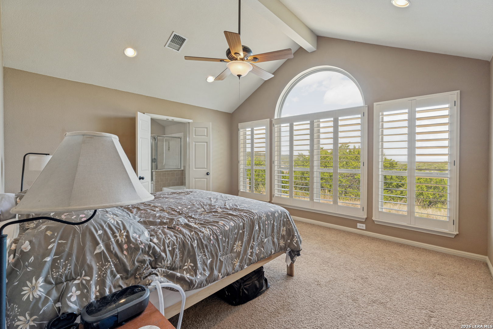 421 Armadillo Trail Drive E Comfort TX 78013