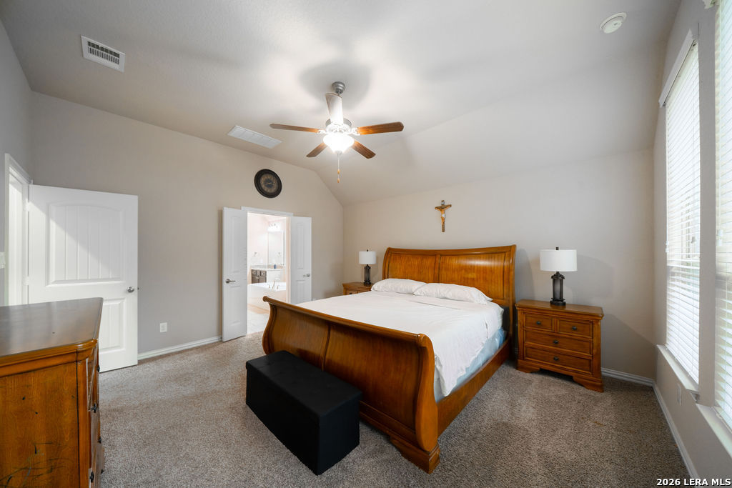 803 Gold Beauty San Antonio TX 78245