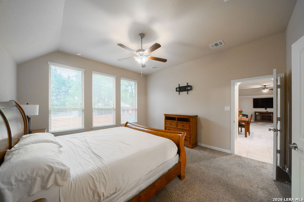 803 Gold Beauty San Antonio TX 78245