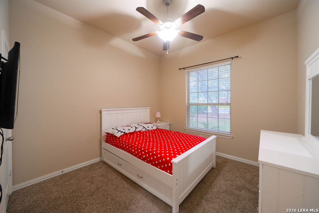 803 Gold Beauty San Antonio TX 78245