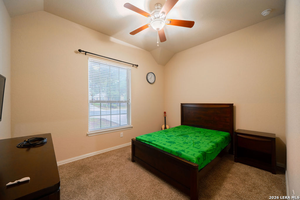 803 Gold Beauty San Antonio TX 78245