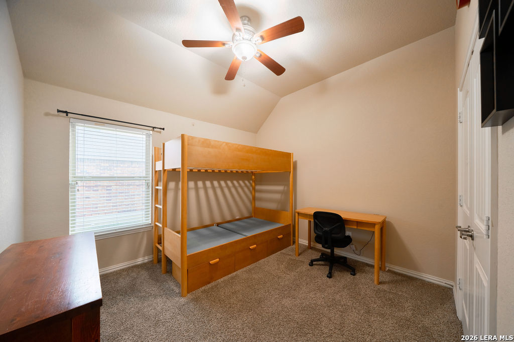 803 Gold Beauty San Antonio TX 78245