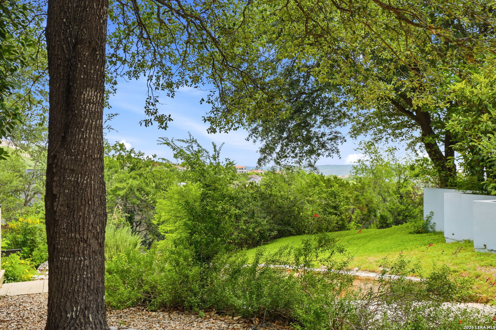 19319 Strauss San Antonio TX 78256