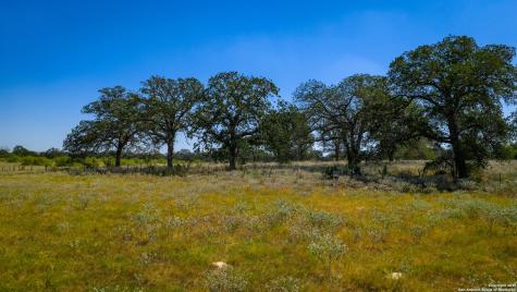 156 Firewheel Loop Floresville TX 78114