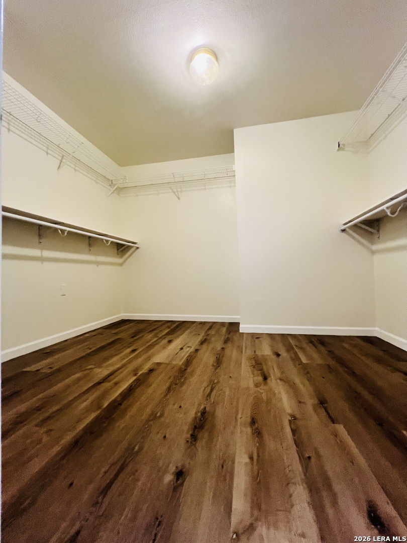 4039 Angel Trumpet San Antonio TX 78259