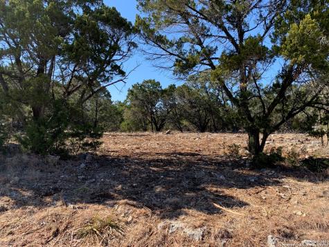 334 Delanoy Drive Canyon Lake TX 78133
