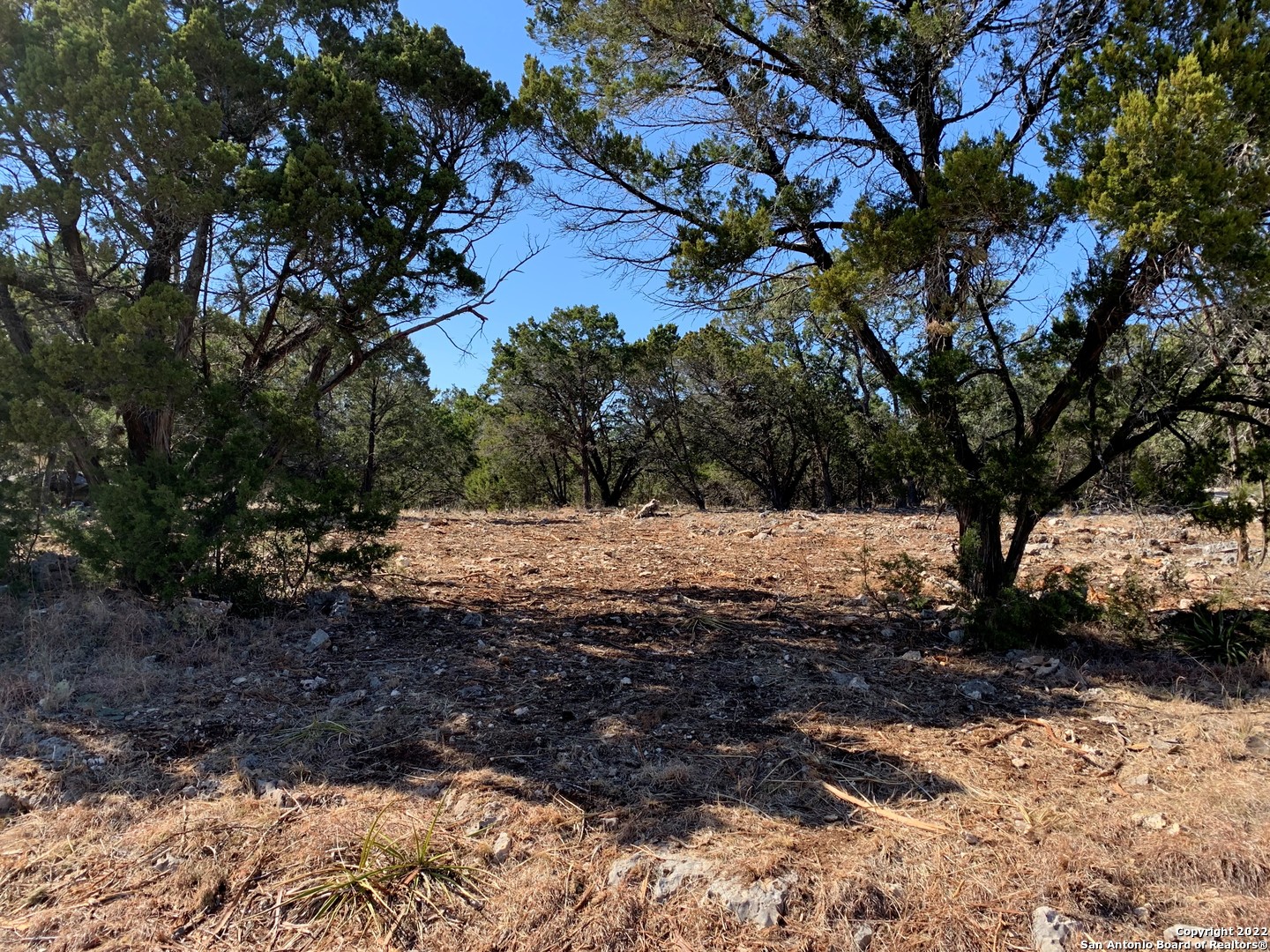 334 Delanoy Drive Canyon Lake TX 78133