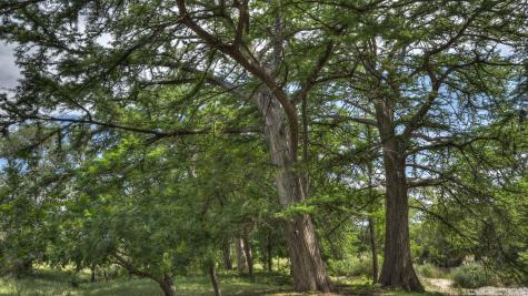 154 Weston Leakey TX 78873