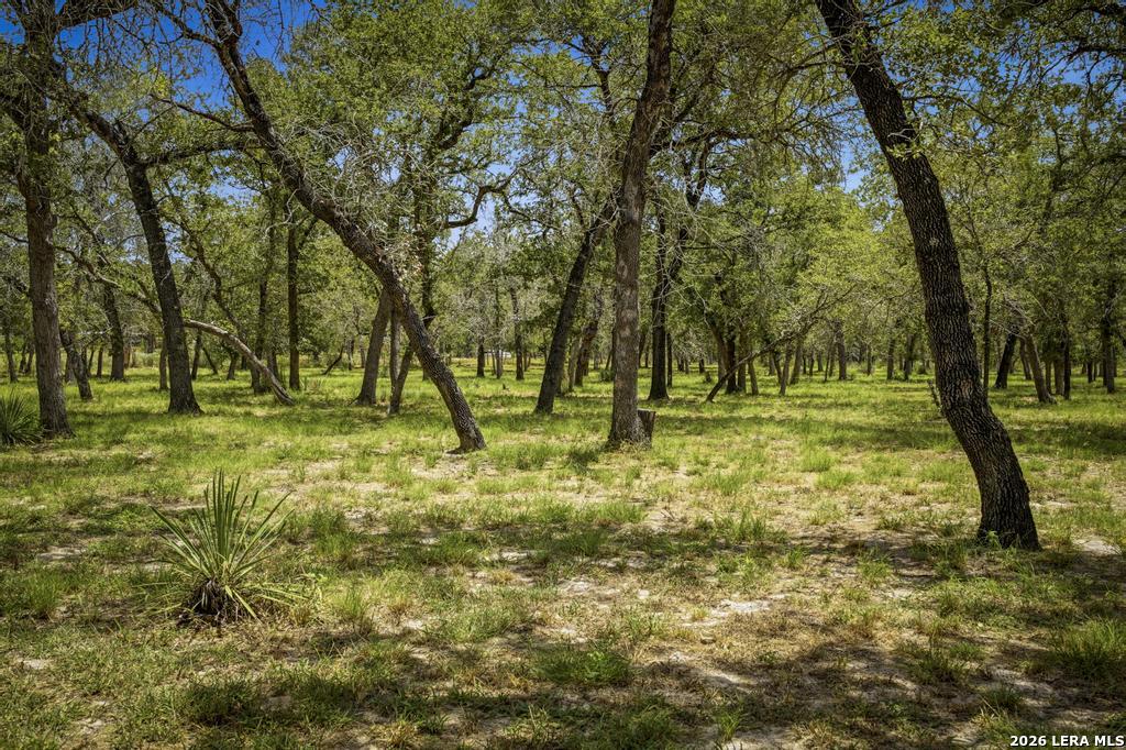 156 Deep Woods Drive Seguin TX 78155