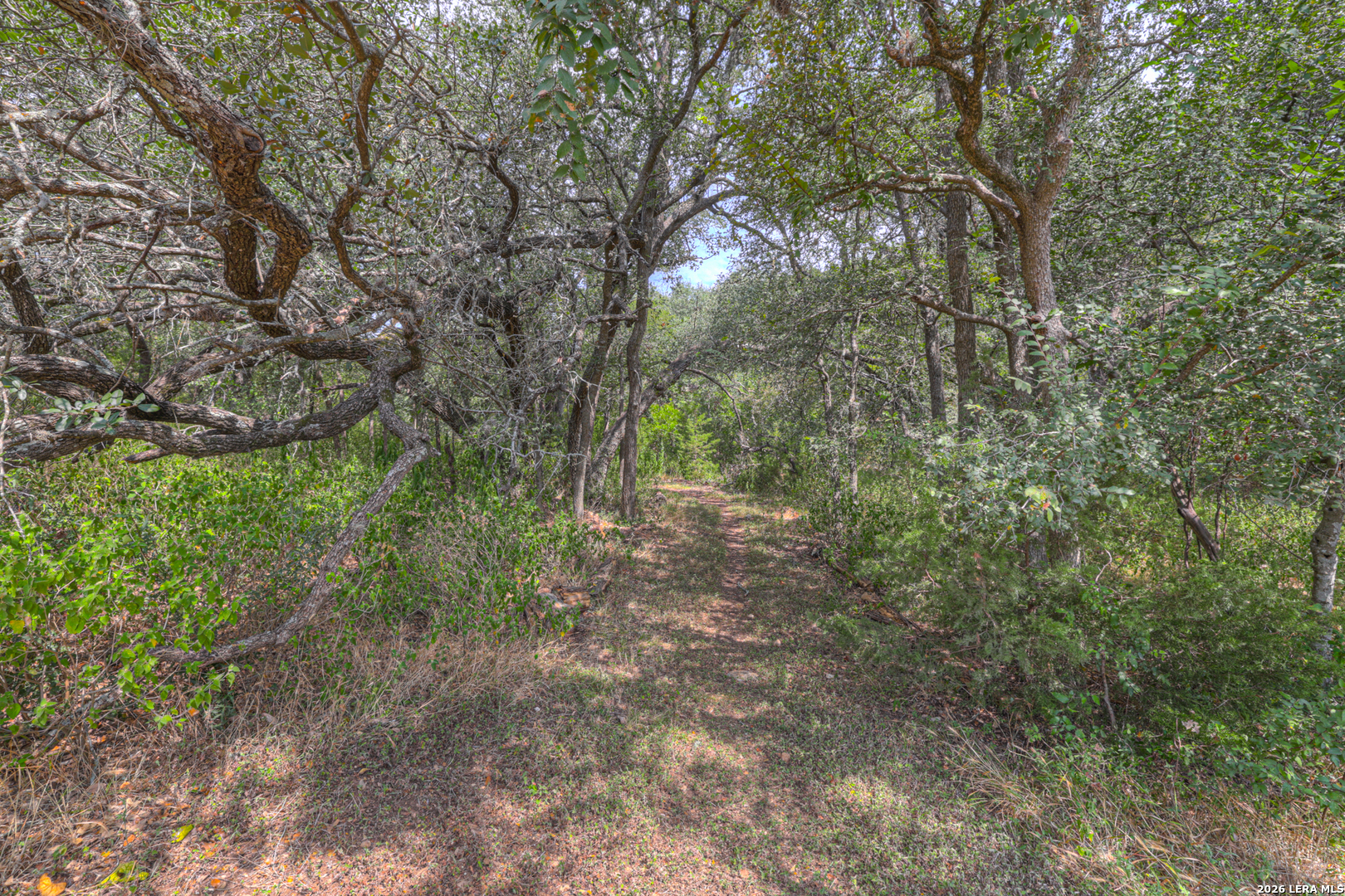 921 Santa Cruz New Braunfels TX 78132