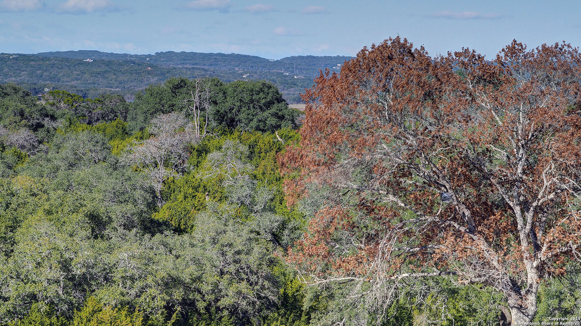 1429 Specie Creek San Antonio TX 78260