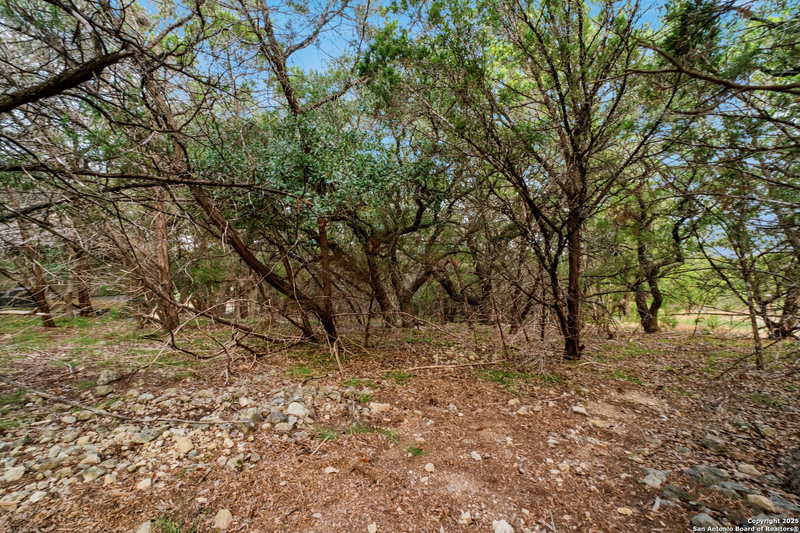 25403 Singing Rain San Antonio TX 78260