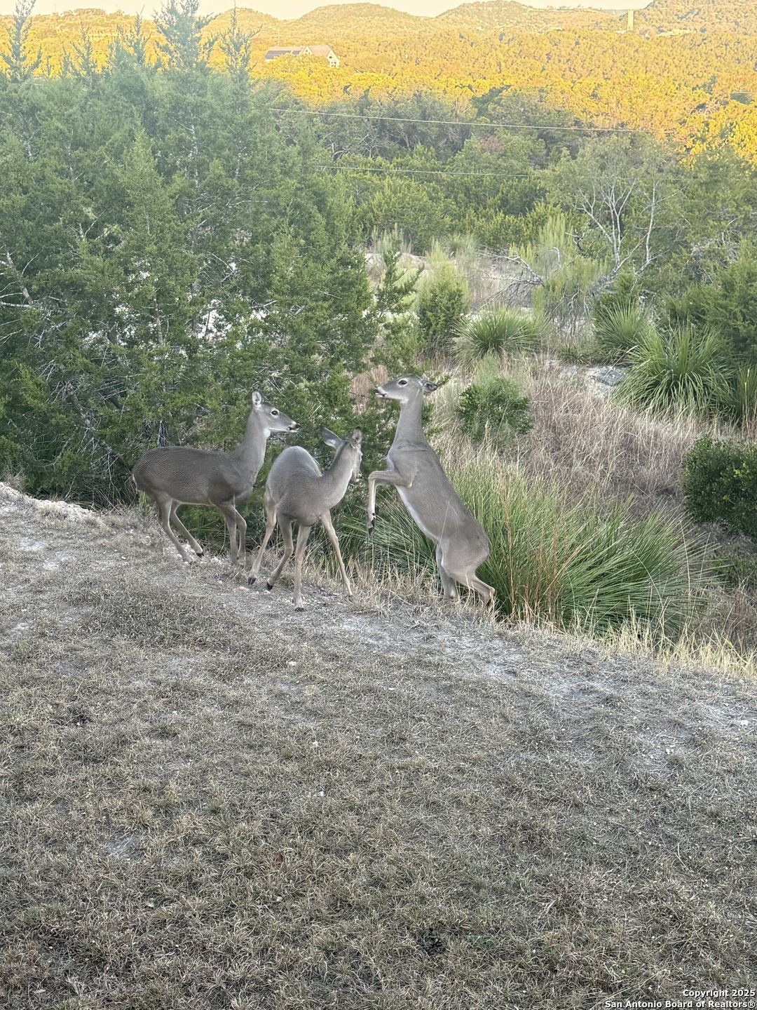 42 Tower Road Boerne TX 78006