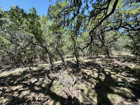 854 Maximino Ridge Bulverde TX 78163