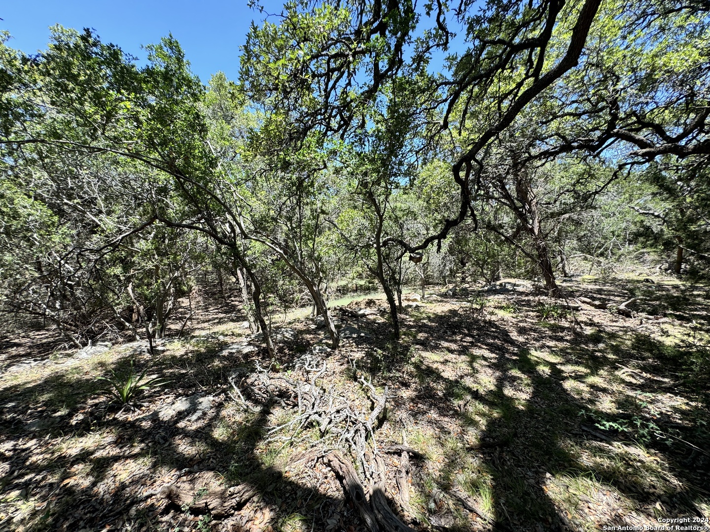 854 Maximino Ridge Bulverde TX 78163
