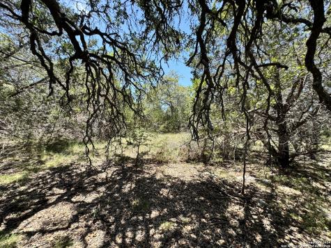854 Maximino Ridge Bulverde TX 78163