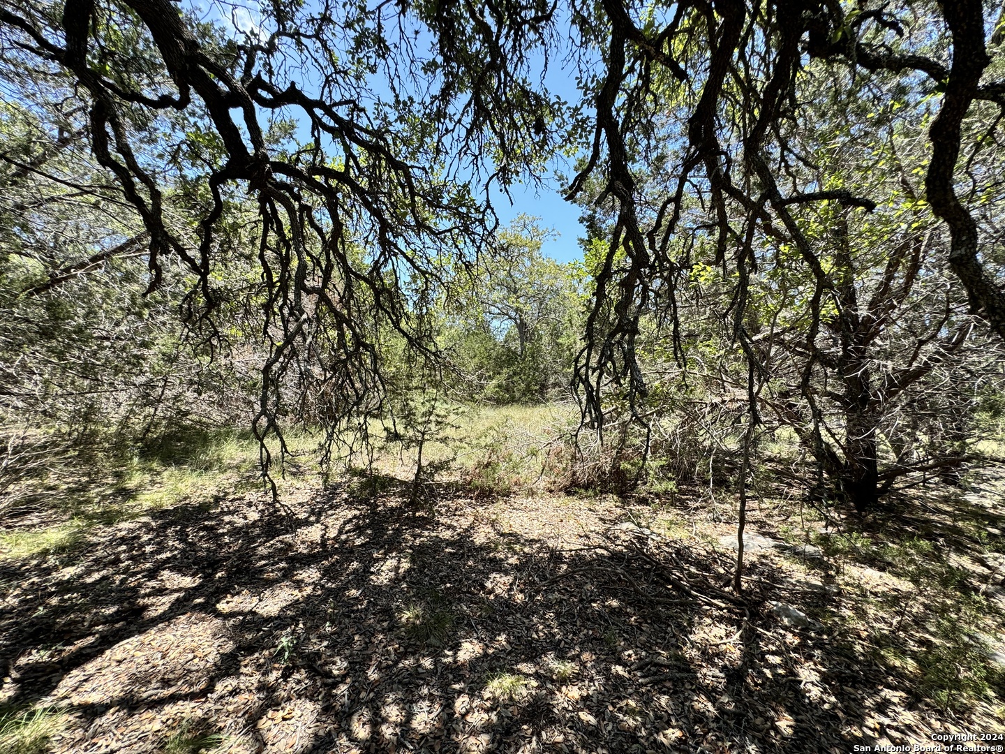 854 Maximino Ridge Bulverde TX 78163